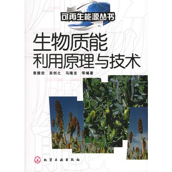 生物質能利用原理與技術