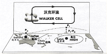 沃克環流圈