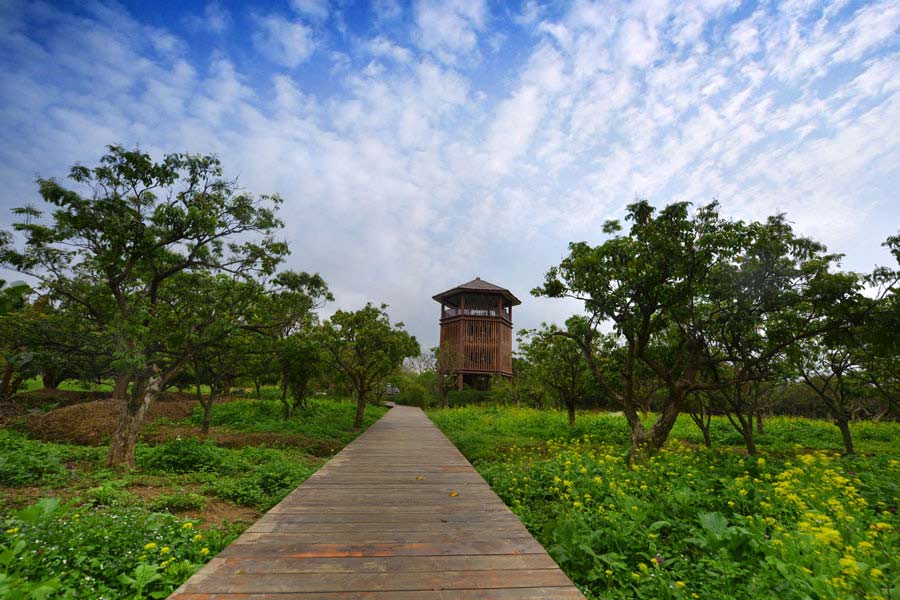 廣東廣州海珠國家濕地公園