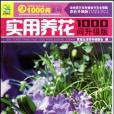 實用養花1000問(書籍)