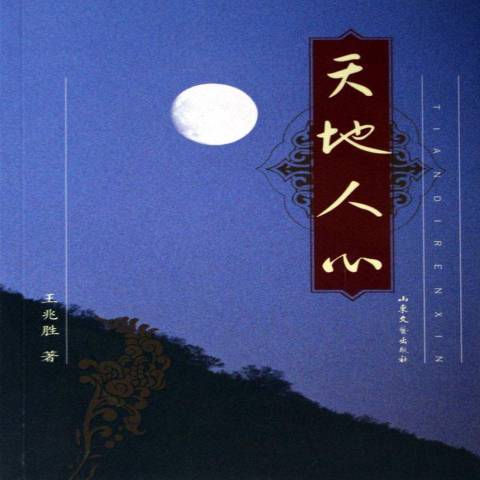 天地人心(2006年山東文藝出版社出版的圖書)