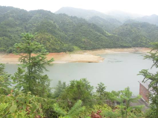 嚴坊村(江西寧都縣洛口鎮下轄村)