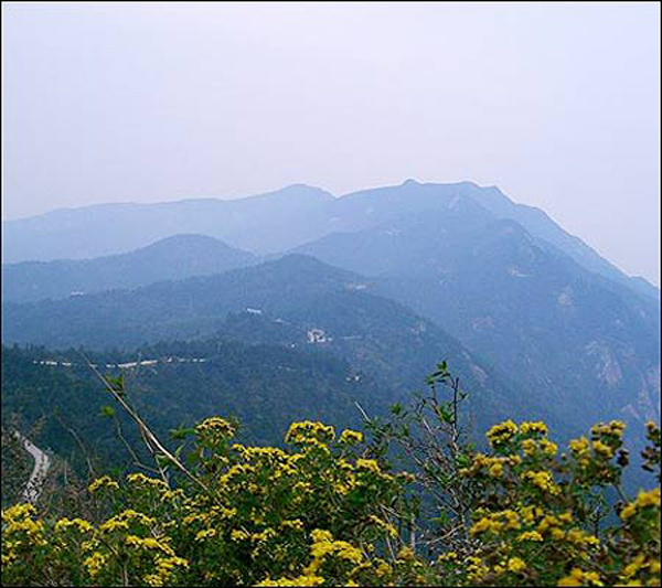 雙峰山森林公園