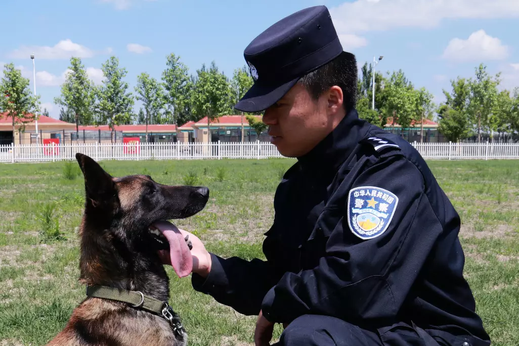 朱華林(哈爾濱警犬訓練基地訓練處民警)