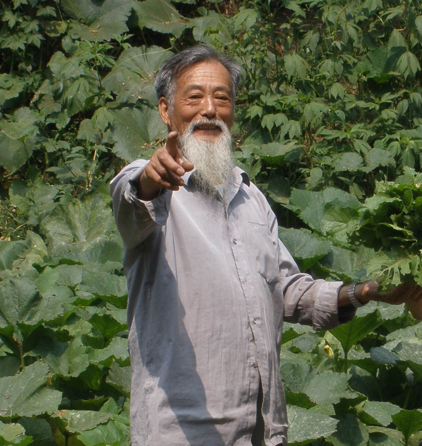 劉常春(太極拳傳人)