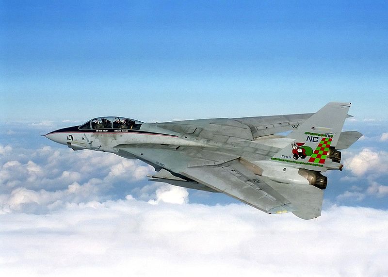 F-14戰鬥機(湯姆貓（美國戰鬥機綽號）)