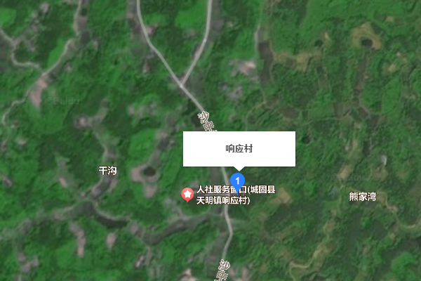 回響村(陝西省漢中市城固縣天明鎮下轄村)