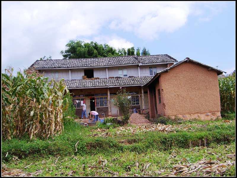 蓮峰柳城村