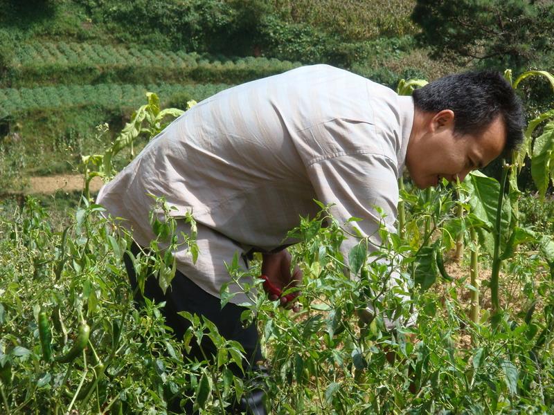 小茨菇塘自然村