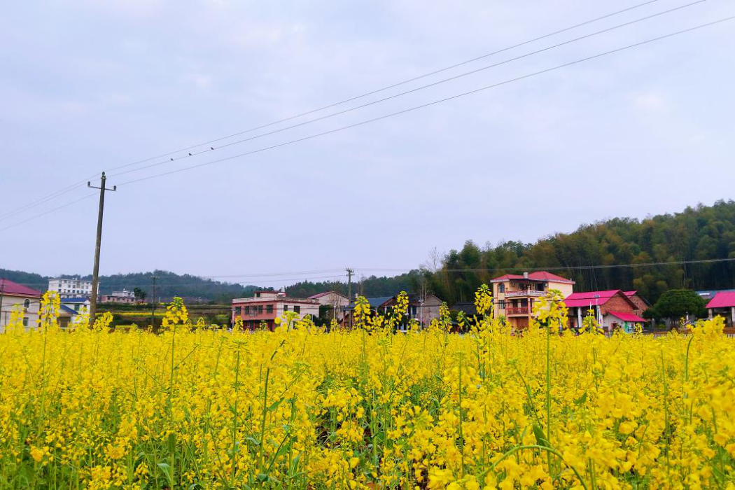 七里山園藝場