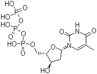 2\x27-脫氧胸苷 5\x27-三磷酸