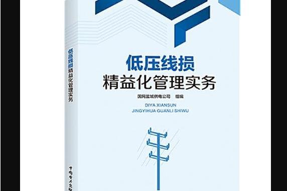 低壓線損精益化管理實務(2020年中國電力出版社出版的圖書)