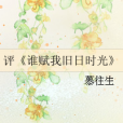 評《誰賦我舊日時光》