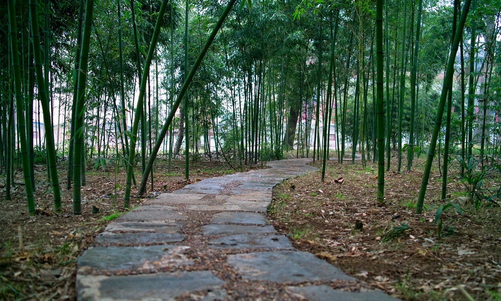 草堂寺