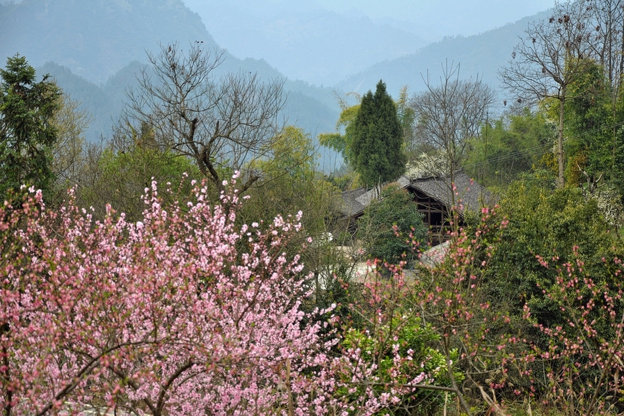 隴木洞村