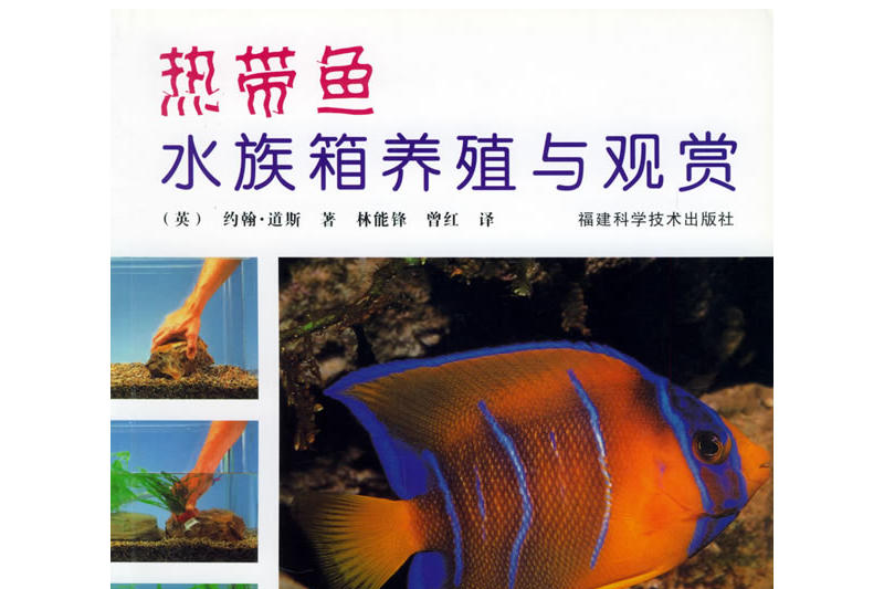 熱帶魚水族箱養殖與觀賞