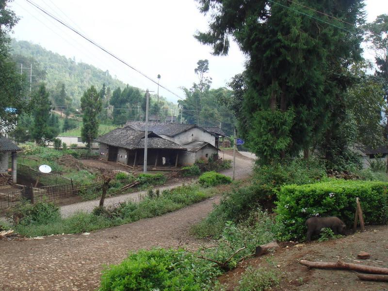 團坡村(雲南省德宏盈江縣盞西鎮下轄村)