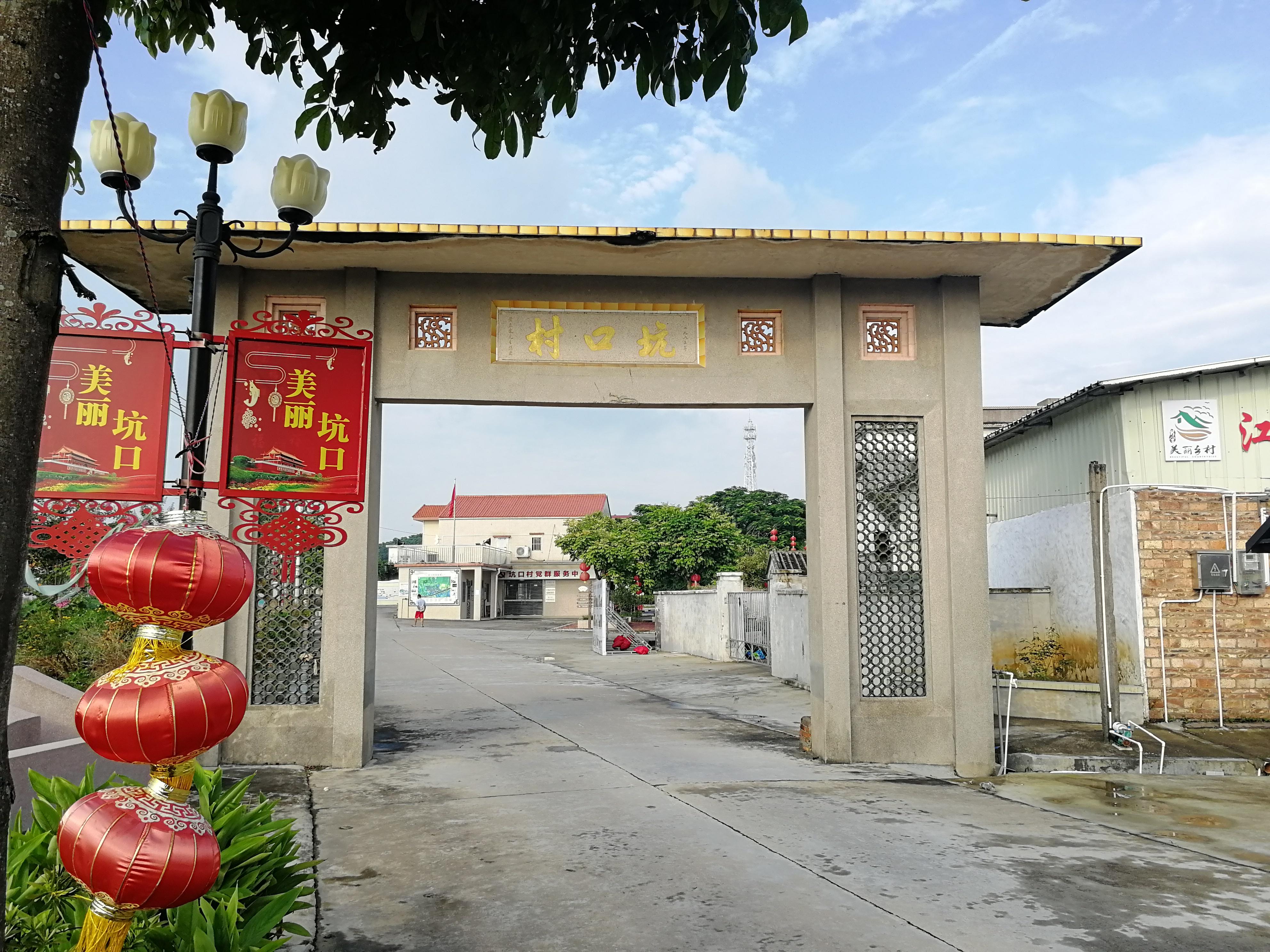 坑口村(廣東省江門市新會區崖門鎮下轄村)