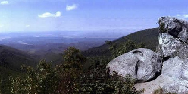 崗山國家森林公園