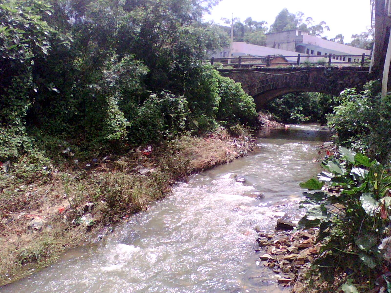 大垌鎮六羅河大橋