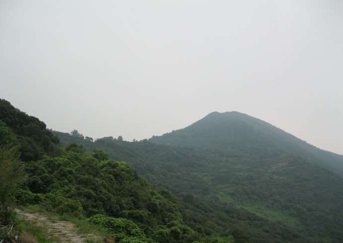 大岙溪嶺古道