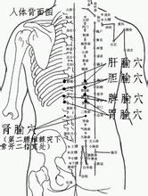 李氏胃炎貼背部貼敷穴位