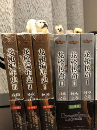 龍槍(TSR公司推出的系列小說)