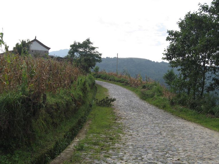 腰街村(雲南省元江縣羊岔街鄉阿龍甫村委會腰街村)