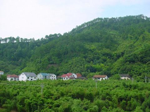 張莊村(山東省臨清市尚店鎮張莊村)