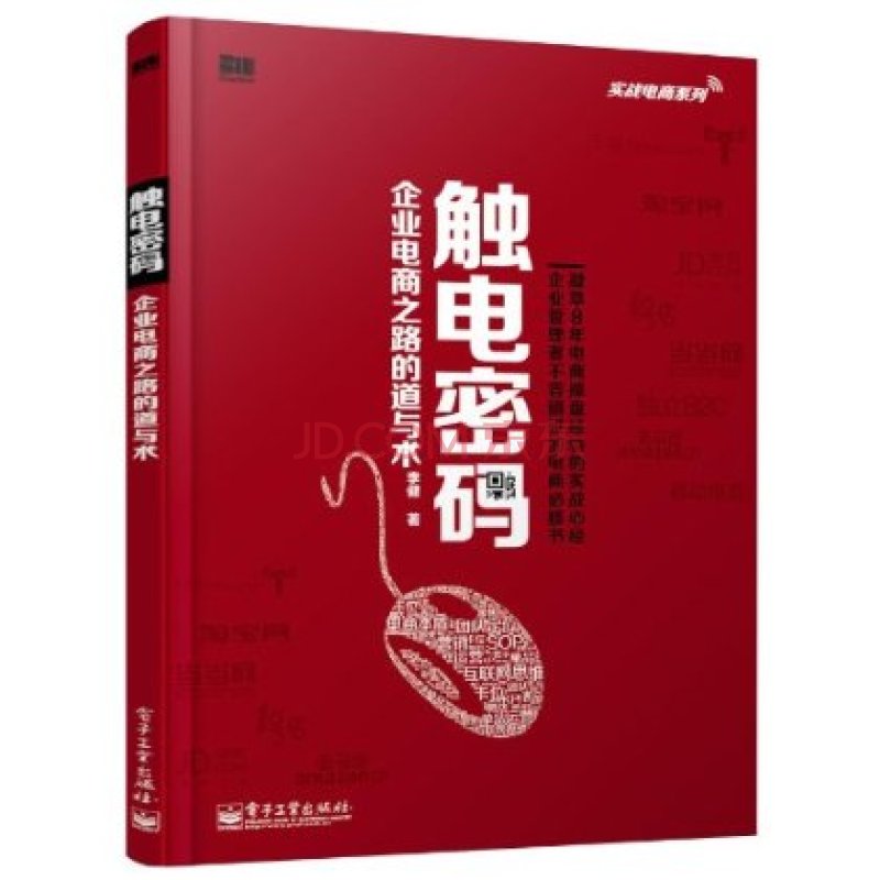 觸電密碼——企業電商之路的道與術