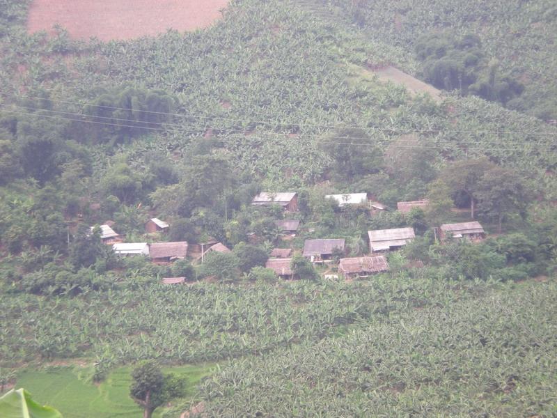 牛塘自然村(瑤山鄉牛塘村委會下轄自然村)