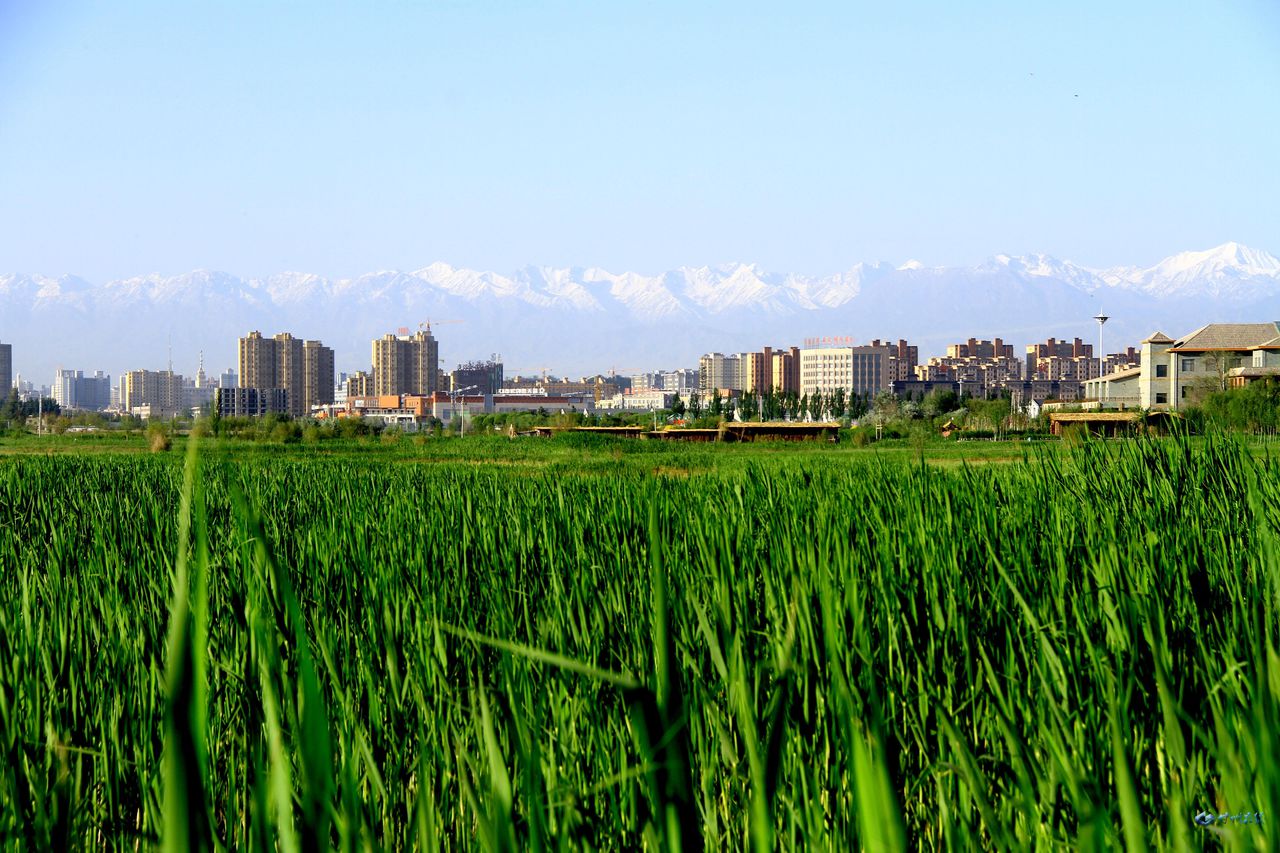 張掖國家濕地公園