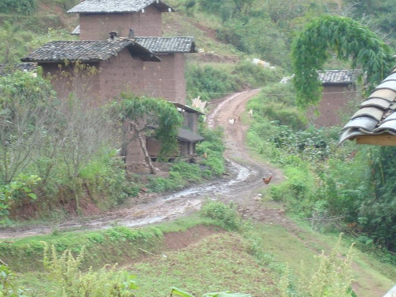 村內道路