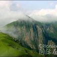 雲間草甸