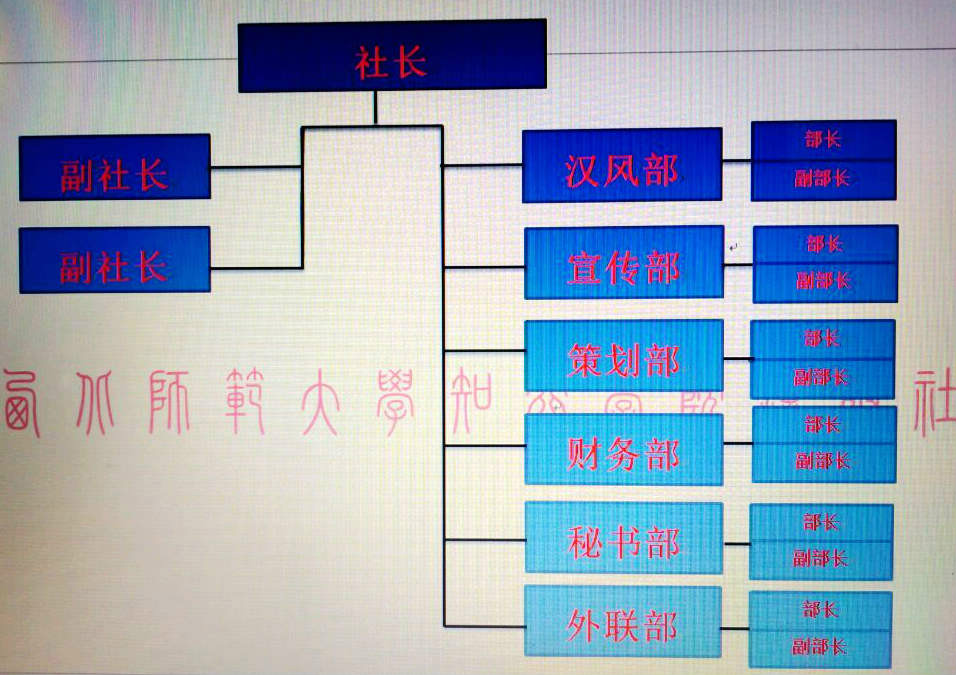 組織結構圖