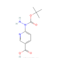 6-[2-（叔丁氧羰基）肼基]煙酸