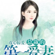 攻心掠愛：總裁的第一愛妻