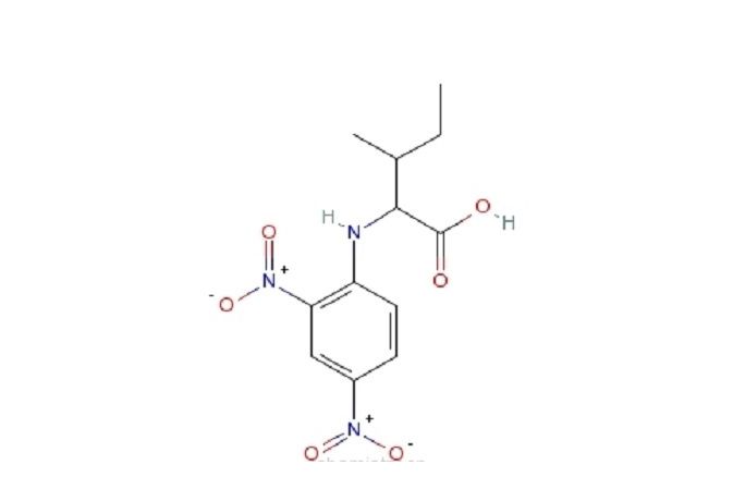 N-2,4-二硝基苯-L-異亮氨酸