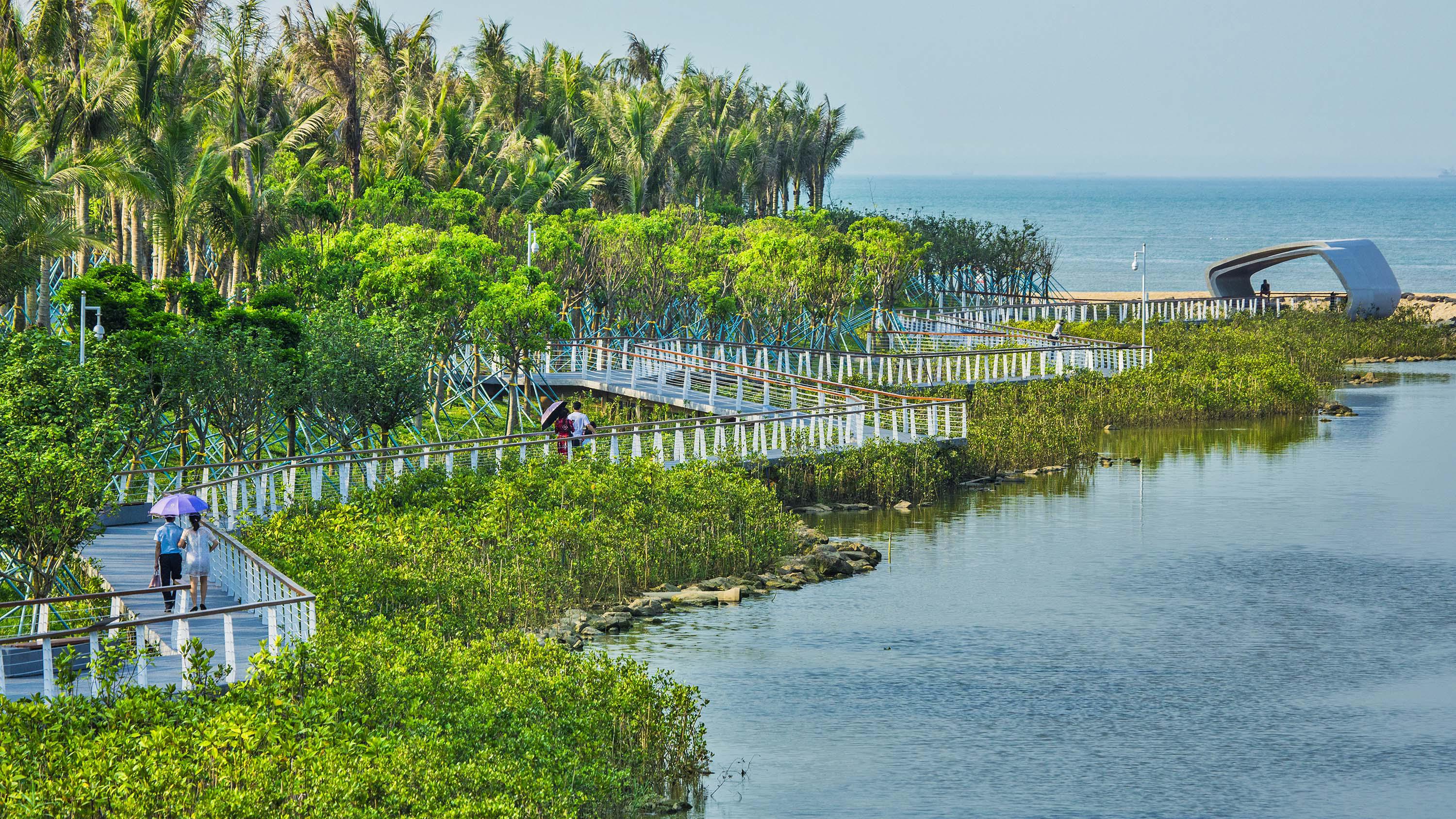 海南海口五源河國家濕地公園