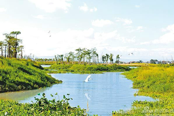 莆田市秀嶼區土海生態濕地公園(土海濕地公園)