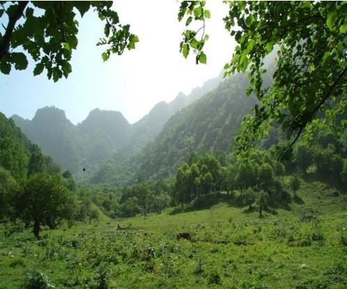 麥草溝