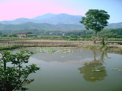 趙宅門村