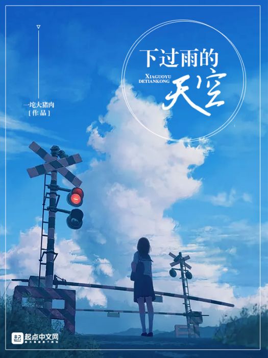 下過雨的天空(一坨大豬肉創作的網路小說)