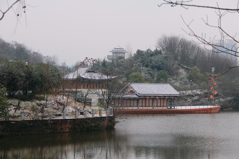 平湖公園雪景