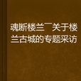 魂斷樓蘭——關於樓蘭古城的專題採訪