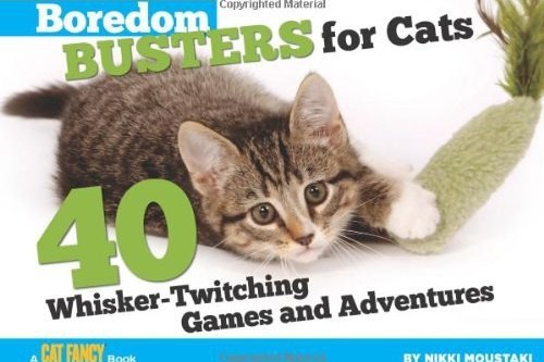 Boredom Busters for Cats