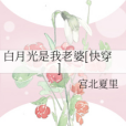 白月光是我老婆[快穿]