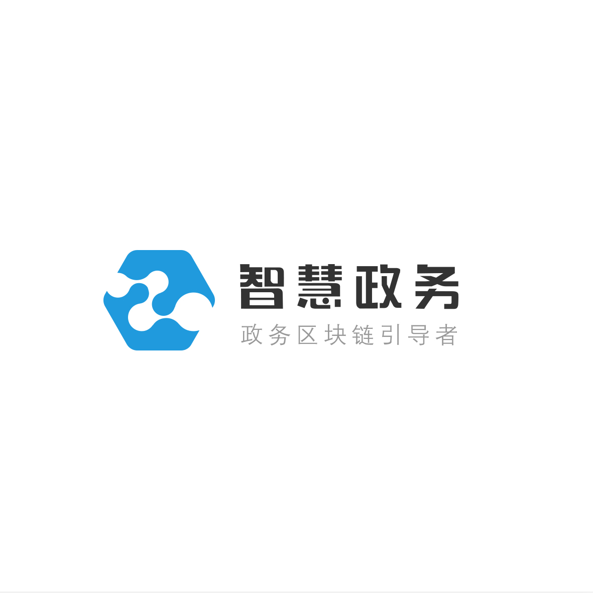 湖南智慧政務區塊鏈科技有限公司