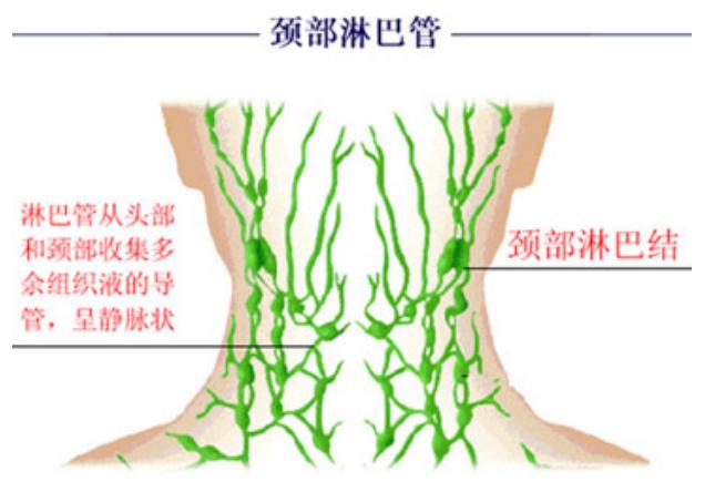 頸部淋巴結炎