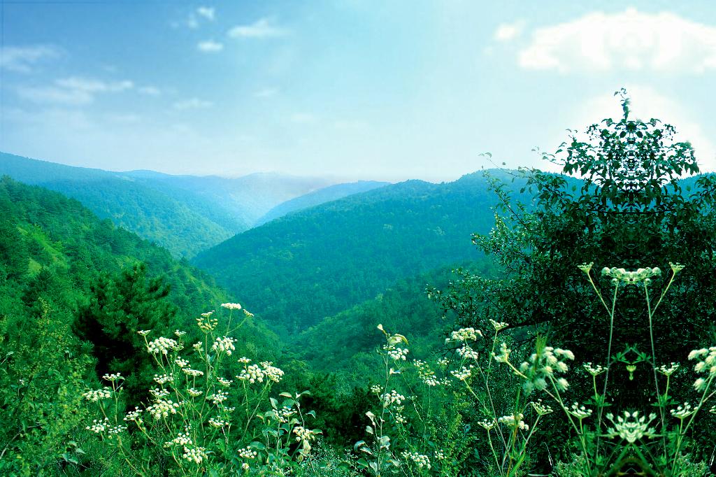 青松嶺景區